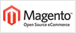 Magento eCommerce Development Services-Copy