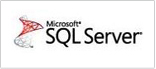 MSSQL Development Services